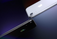iPhone 13 Ramai Peminat, iPhone XR dan 11 Pro Turun Drastis hingga 2 Jutaan