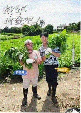 日韩综艺 明星厨房